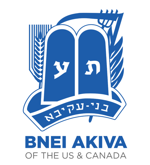 logo-1